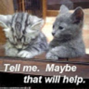 Meet your Posher, Chris